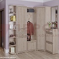 Модули для Карины